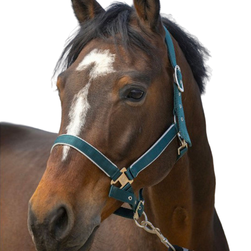 Equithème - Light dark green nylon headcollar | - Ohlala