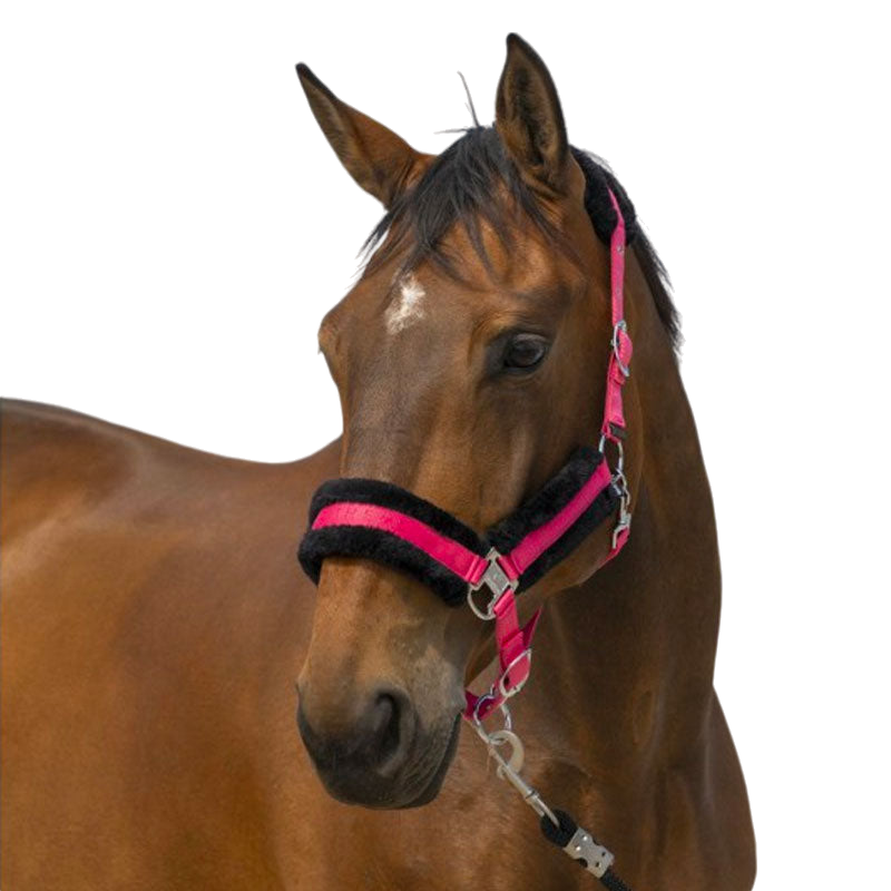 Equithème - Licol nylon Mouton rose/ noir | - Ohlala