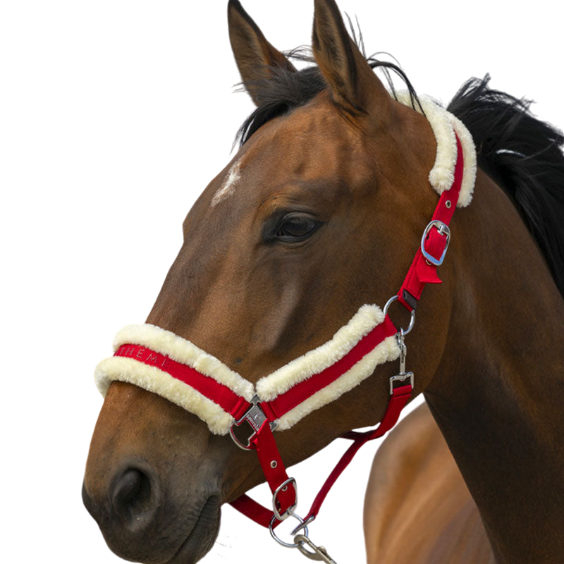 Equithème - Cabezada de nylon Mouton rojo/blanco | - Ohlala