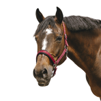 Equithème - Jacquard Nylon headcollar burgundy | - Ohlala