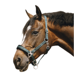 Equithème - Green Jacquard Nylon Headcollar | - Ohlala