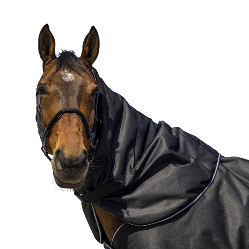 Equithème - Halsdecke Tyrex 600D schwarz 0g | - Ohlala