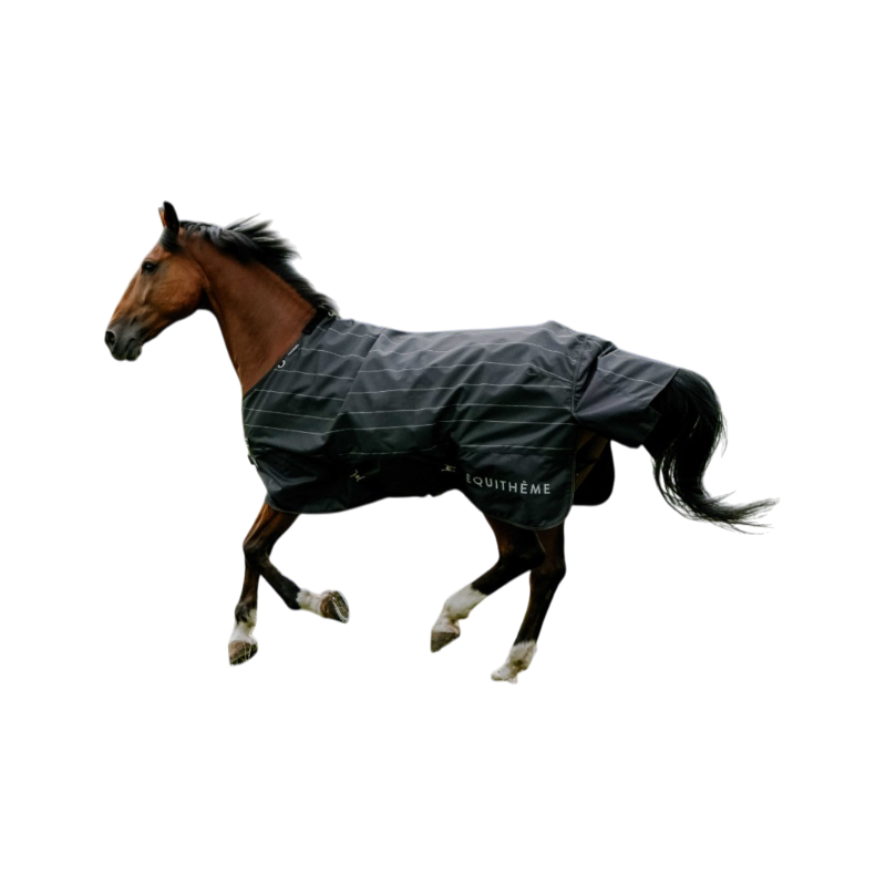Equithème - Tyrex Lumin 600D ブラック 100g 放牧用馬着