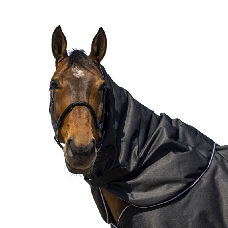 Equithème - Halshülse Tyrex 600D schwarz 200g | - Ohlala