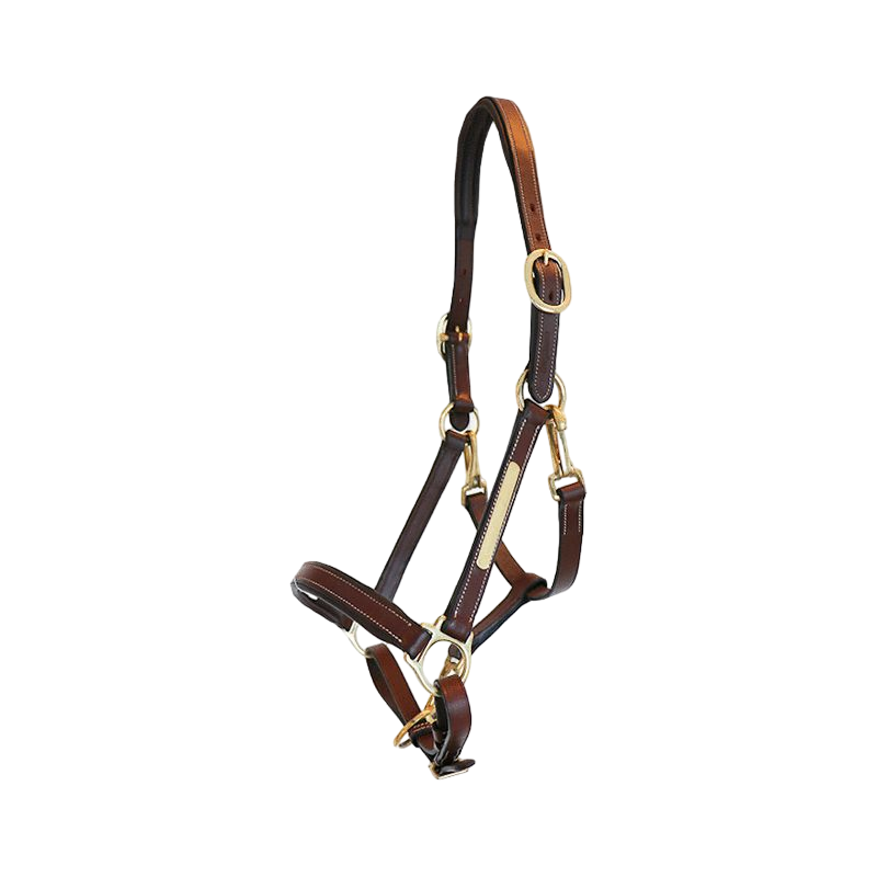 Eric Thomas - Licol cuir Grooming havane | - Ohlala