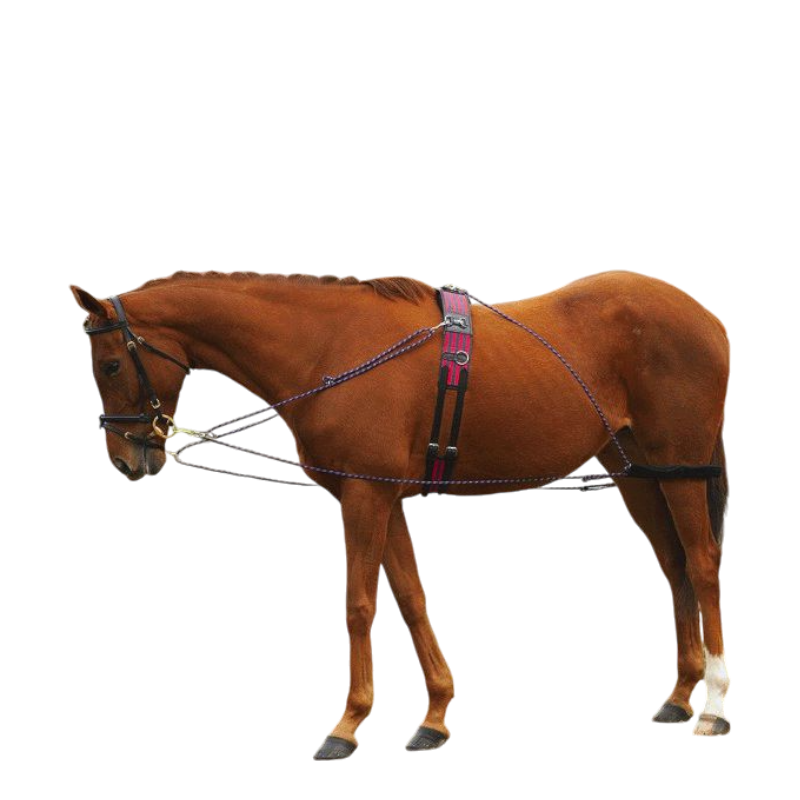 Norton - Enrênement à poulies | - Ohlala