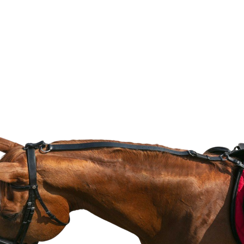 Norton - Enrênement anti-basculement | - Ohlala