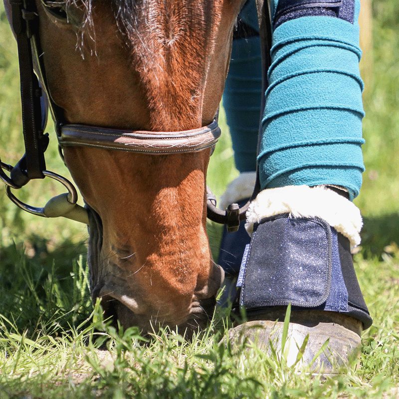 Equestrian Stockholm - Bandaże polo Emerald (x4) | - Ohlala