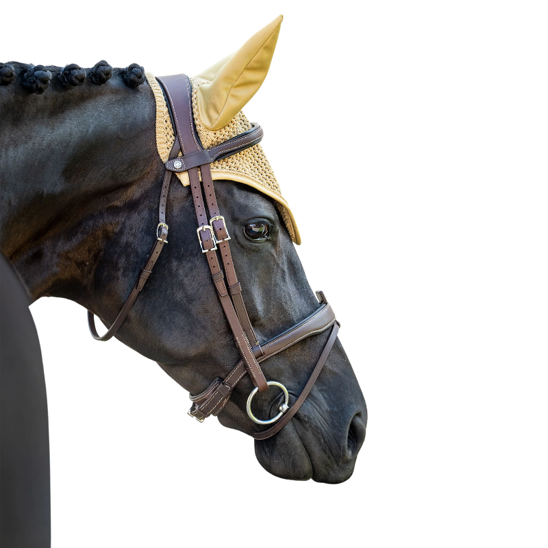 Equestrian Stockholm - Bonnet pour chevaux Modern midsummer glow | - Ohlala