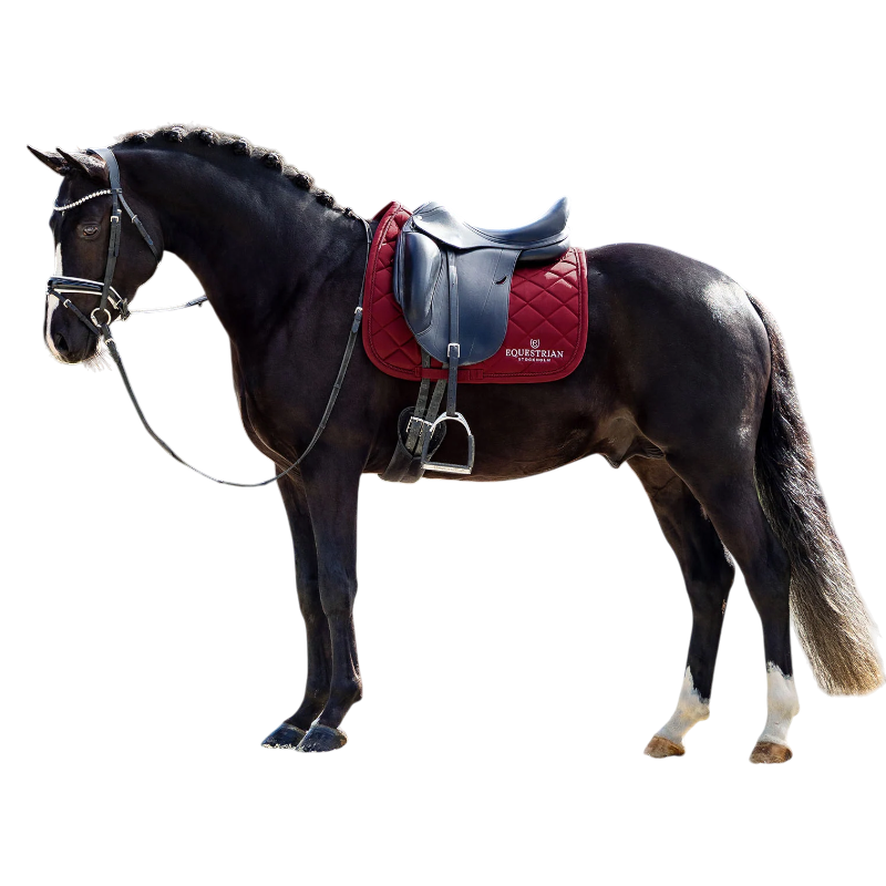 Equestrian Stockholm - Dressage pad Line bordeaux | - Ohlala