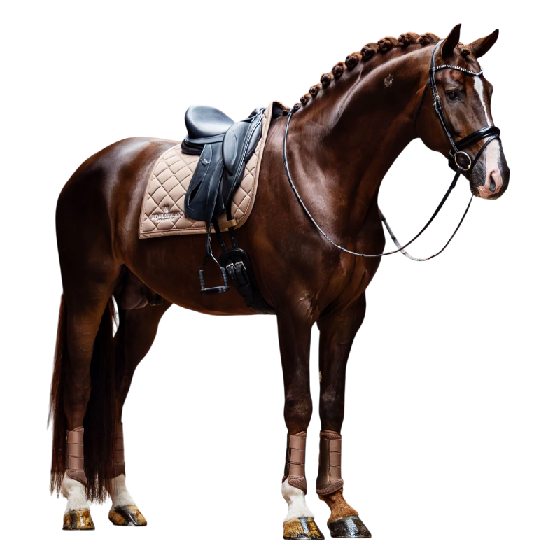 Equestrian Stockholm - Tapis de dressage Line champagne | - Ohlala