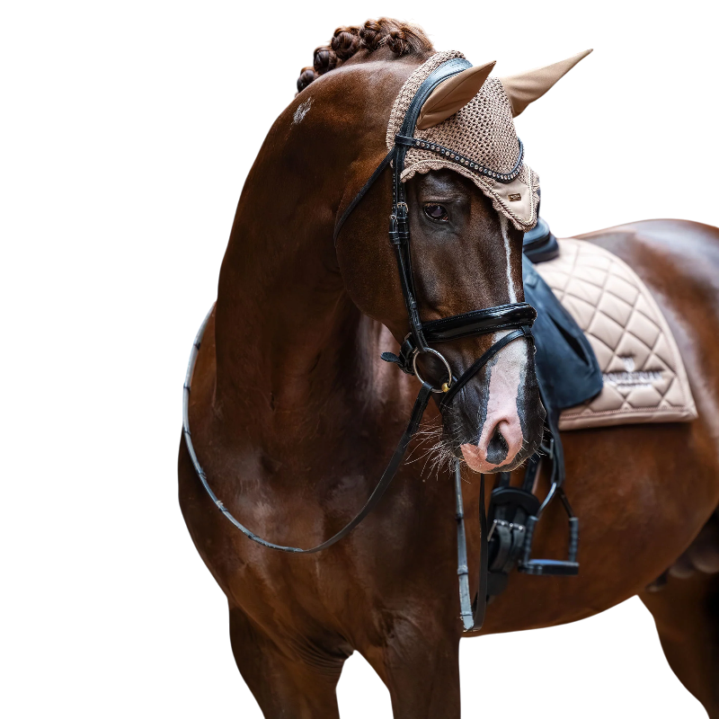 Equestrian Stockholm - Tapis de dressage Line champagne | - Ohlala