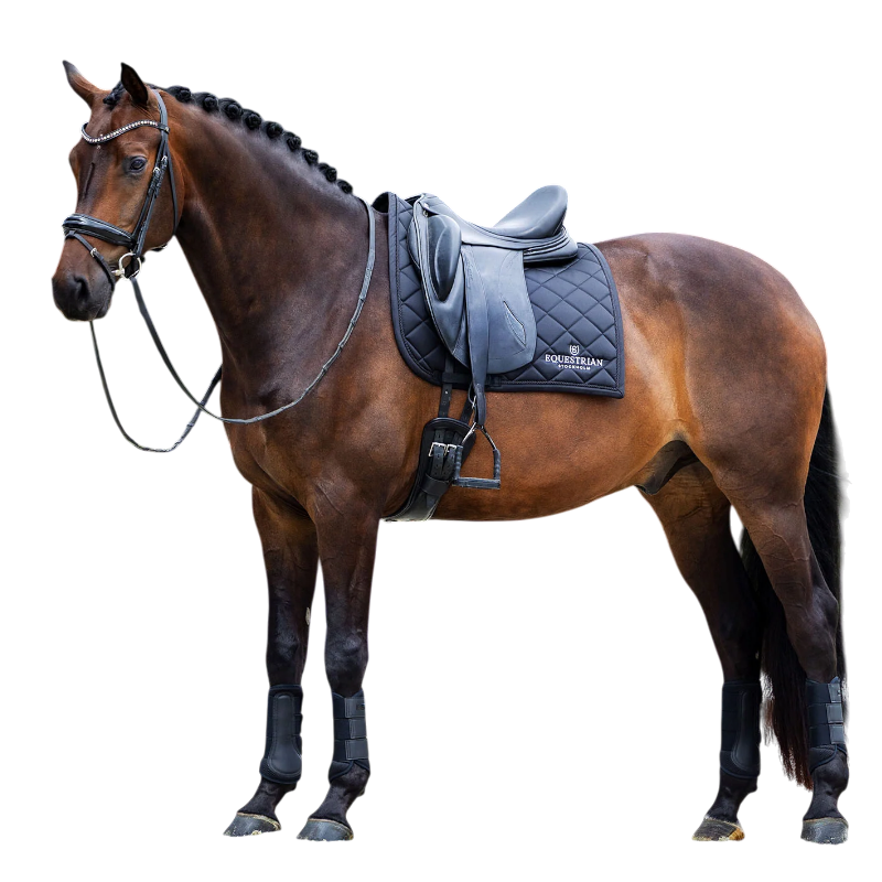 Equestrian Stockholm - Tapis de dressage Line noir | - Ohlala