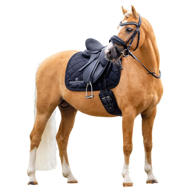 Equestrian Stockholm - Tapis de dressage Line noir | - Ohlala
