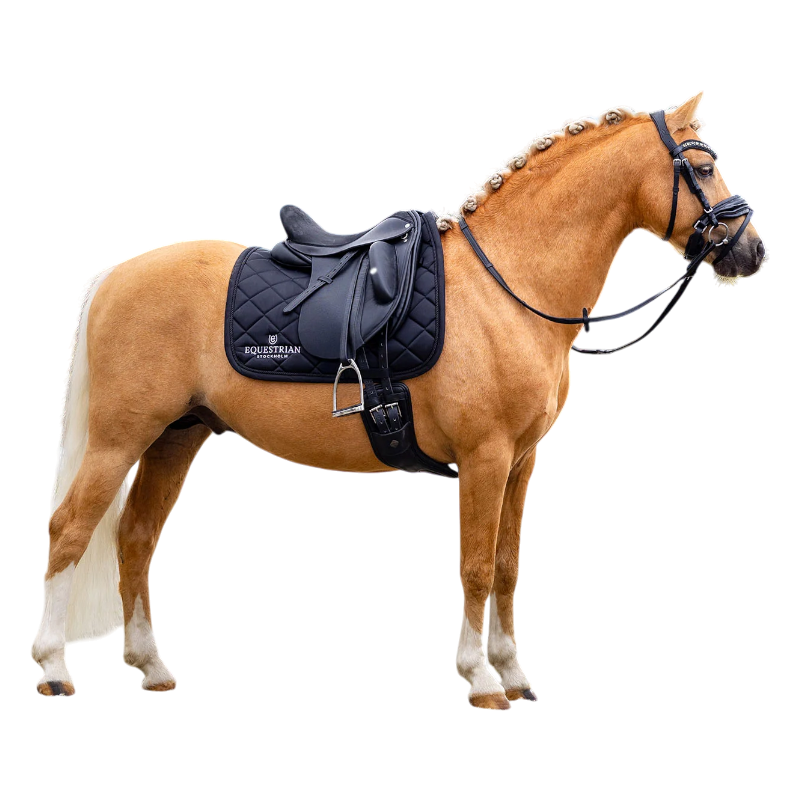 Equestrian Stockholm - Tapis de dressage Line noir | - Ohlala