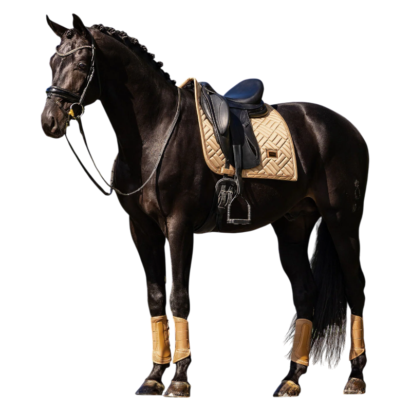 Equestrian Stockholm - Tapis de dressage Modern midsummer glow | - Ohlala