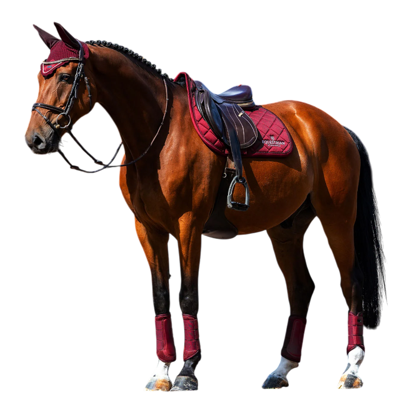 Equestrian Stockholm - Schabracke Line bordeaux | - Ohlala