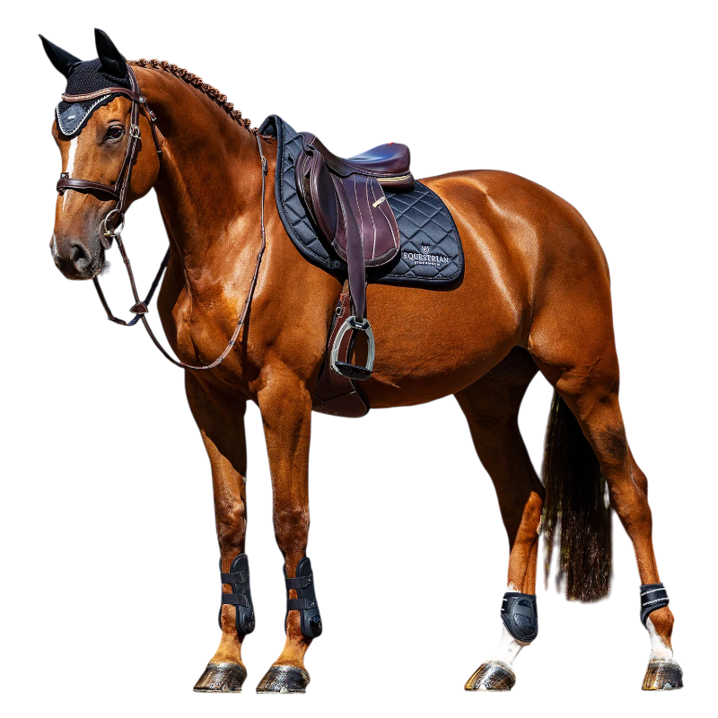 Equestrian Stockholm - Tapis de selle Line noir | - Ohlala