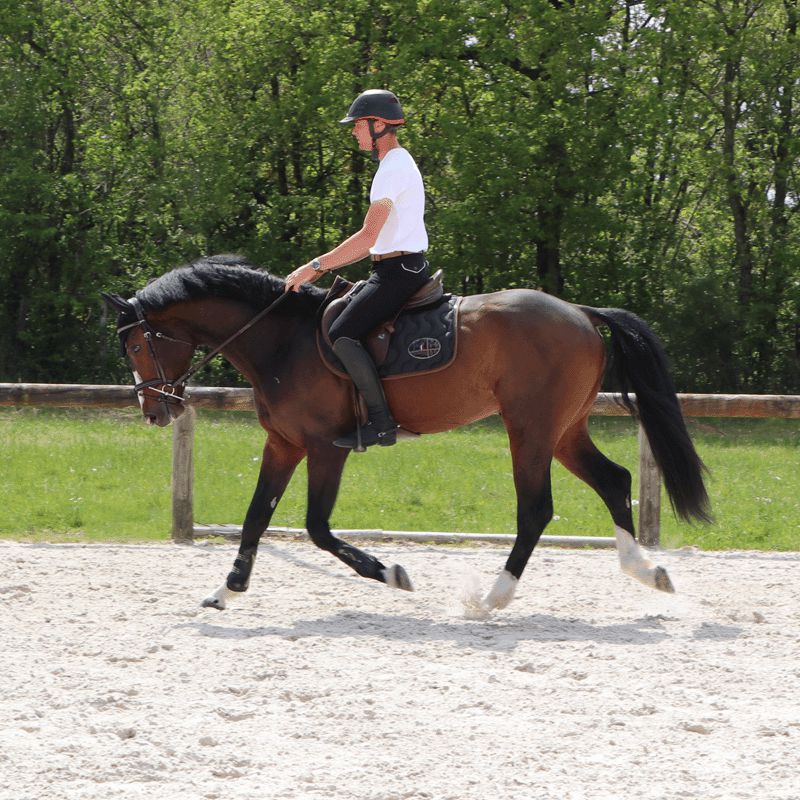Equiline - Bonnet Kim negro | - Ohlala