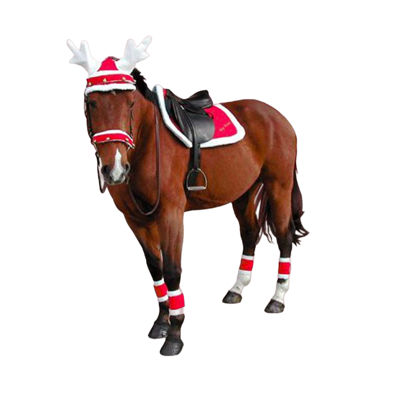 Equithème - Kerst zadeldek | - Ohlala