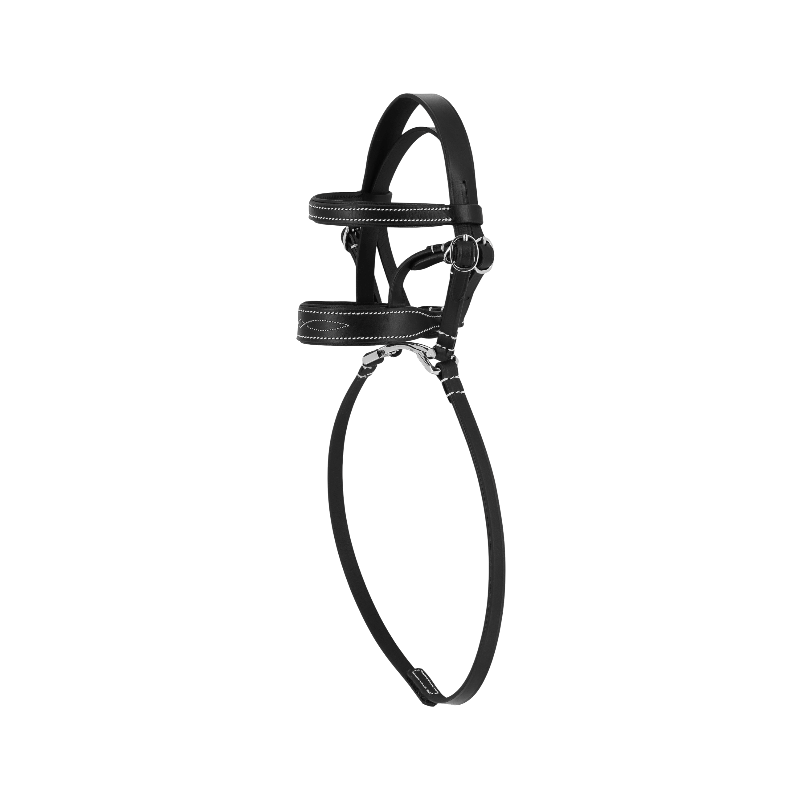 Equithème - Halfter für Mini-Pony Schwarz | - Ohlala