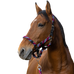 Equithème - Braided halter and lead rope fuchsia/ sky blue/ navy | - Ohlala