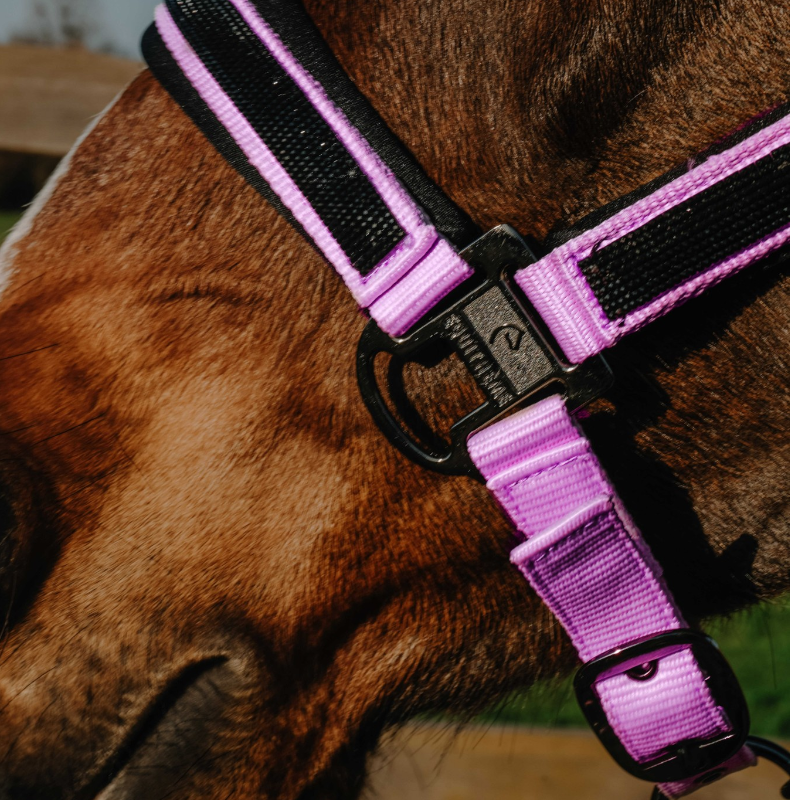 Equithème - Cabeçada de nylon Strass rosa