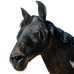 Equithème - Fly and UV Lycra Mask with ears and nose black | - Ohlala