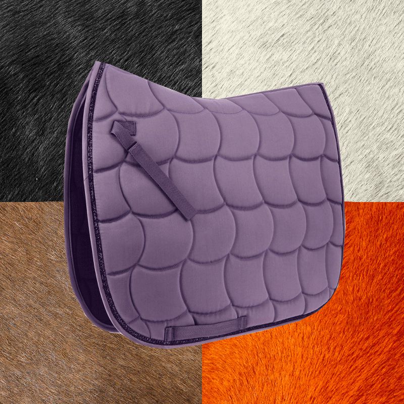 Equithème - Dressurschabracke Satin Pflaume | - Ohlala