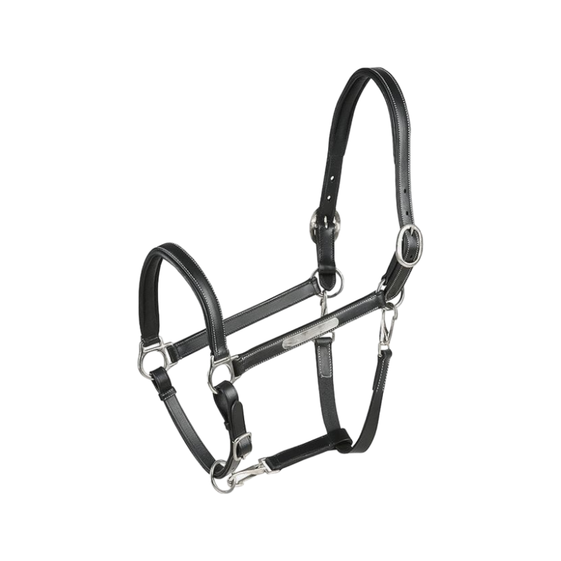 Eric Thomas - Licol cuir Grooming noir | - Ohlala