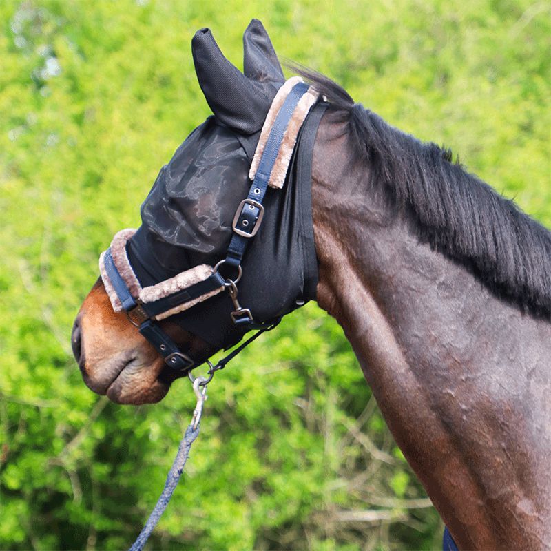 Kentucky Horsewear - Slim Fit Fly Mask | - Ohlala