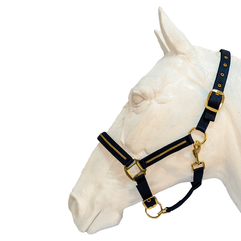 Flags & Cup - Nossa navy halter and lead rope | - Ohlala