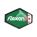 Flex On - Armet Algeria helmet sticker | - Ohlala