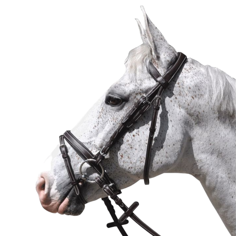 Flags & Cup - Göteborg bridle with brown reins