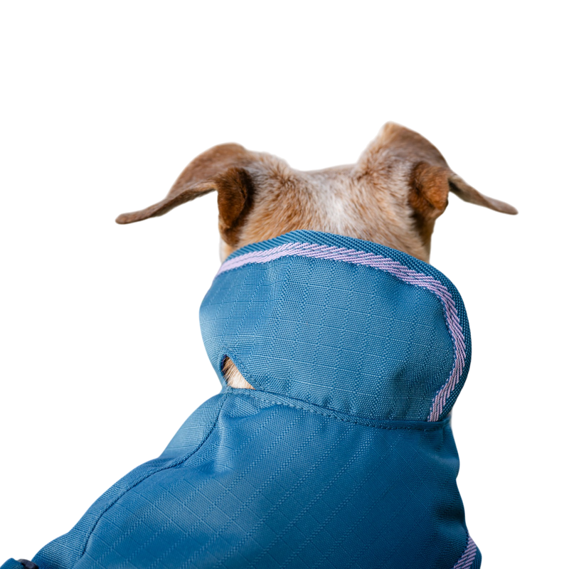 Bucas - Freedom Dog Rug Blueberry 300g