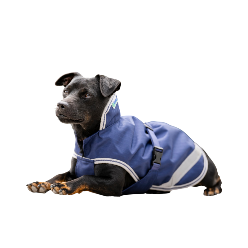 Bucas - Coperta per cane Freedom marine/ silver