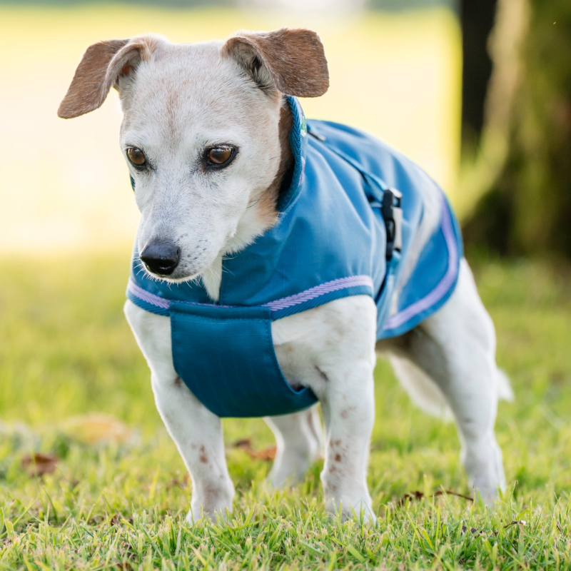 Bucas - Freedom Dog Rug Blueberry 300g