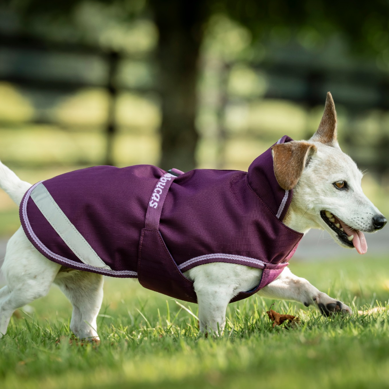 Bucas - Freedom Dog Rug Blackberry