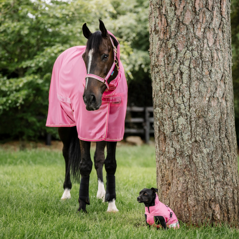 Bucas - Freedom Fly Full Neck vliegendeken aurora pink