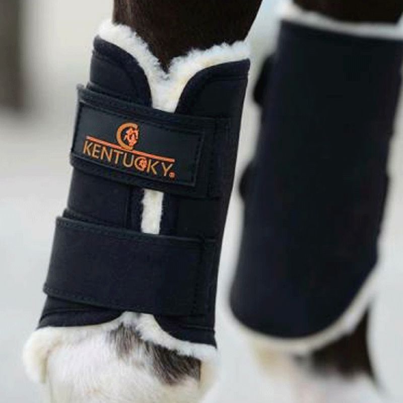 Kentucky Horsewear - Polainas para caballo Solimbra delanteras negro | - Ohlala
