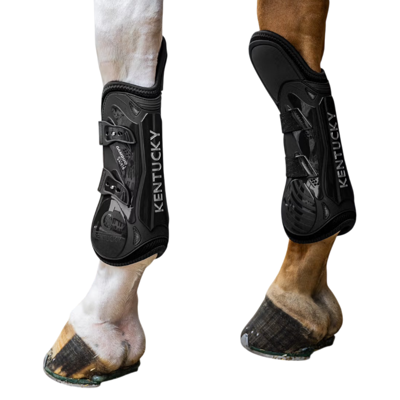 Kentucky Horsewear - Elastic kniebeschermers zwart | - Ohlala