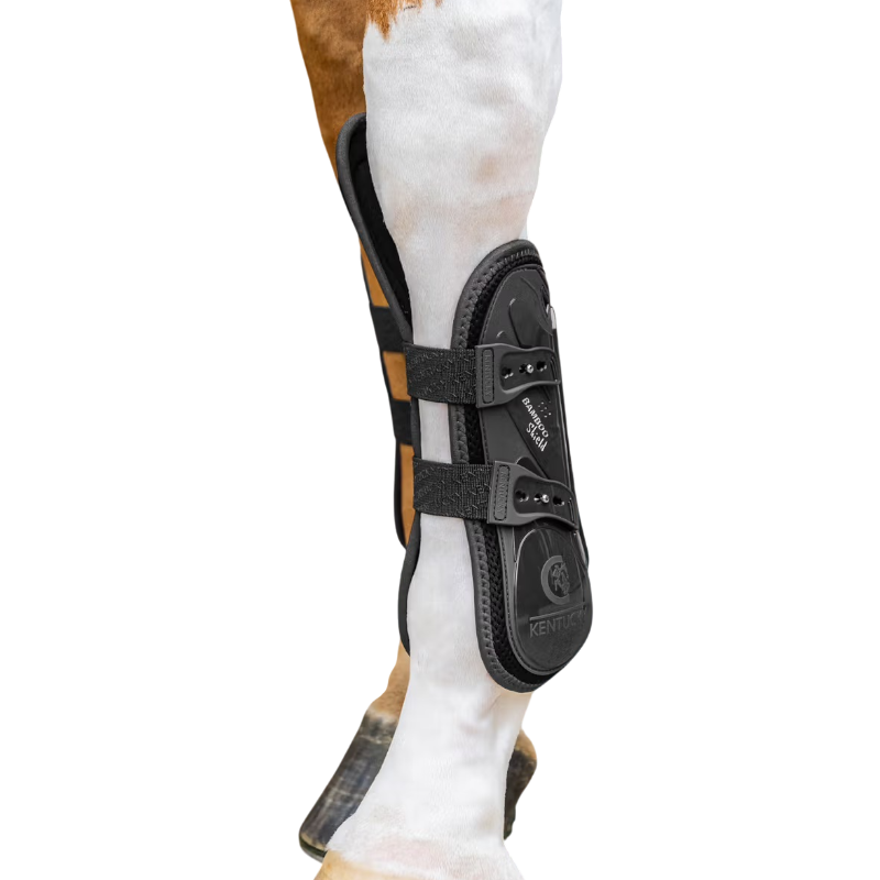 Kentucky Horsewear - Elastic kniebeschermers zwart | - Ohlala