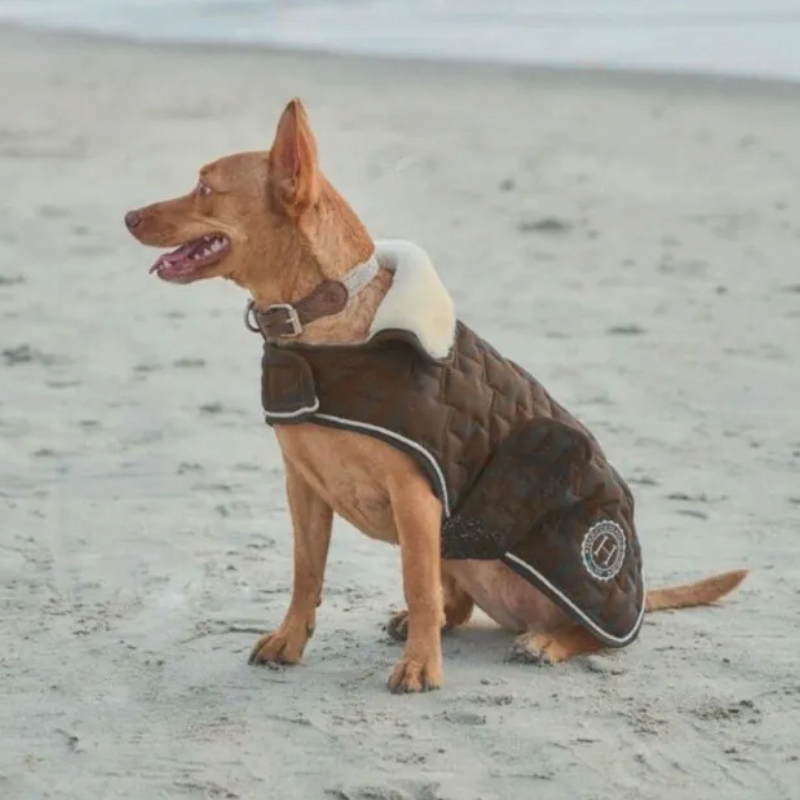 Harcour - Couverture pour chien Bernie USA chocolat