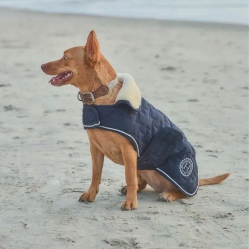 Harcour - Couverture pour chien Bernie USA marine
