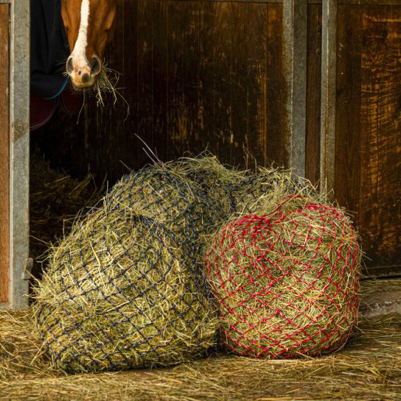 Hippotonic - Hooinet zari marine en zilver | - Ohlala