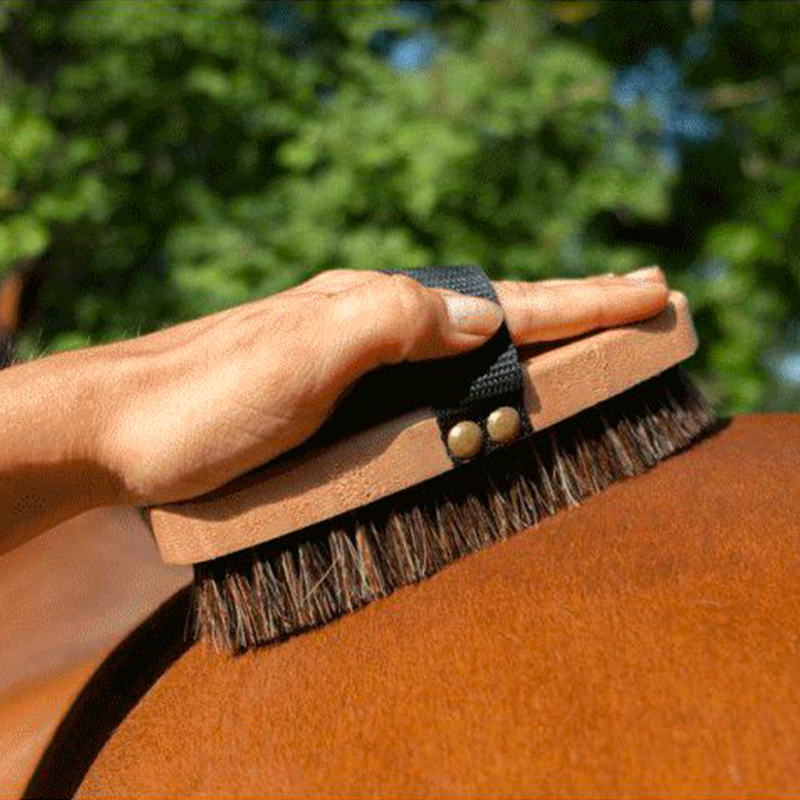 Hippotonic - Brosse extra-douce | - Ohlala