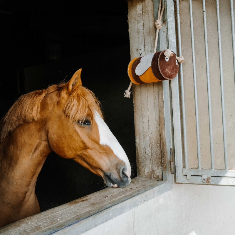 Hippotonic - Giocattolo per cavalli Ape gialla