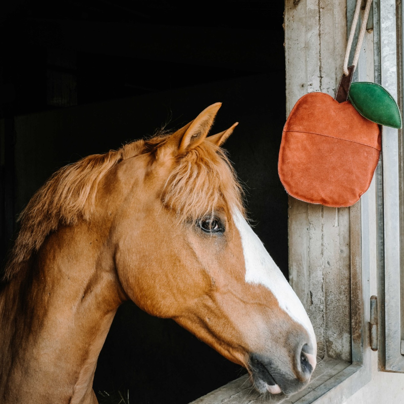 Hippotonic - Jouet pour chevaux Pomme rouge