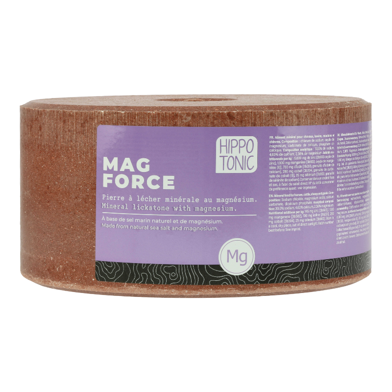 Hippotonic - ソルトブロック Magforce 3kg | - Ohlala