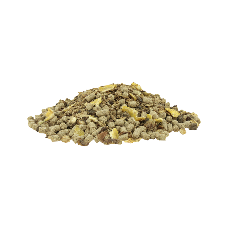 Hippotonic - Mash Muesli | - Ohlala